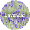 Lavendar