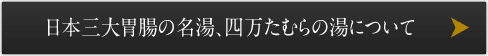 日本三大胃腸の名湯、四万たむらの湯について