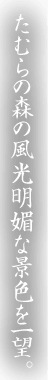 たむらの森の風光明媚な景色を一望。